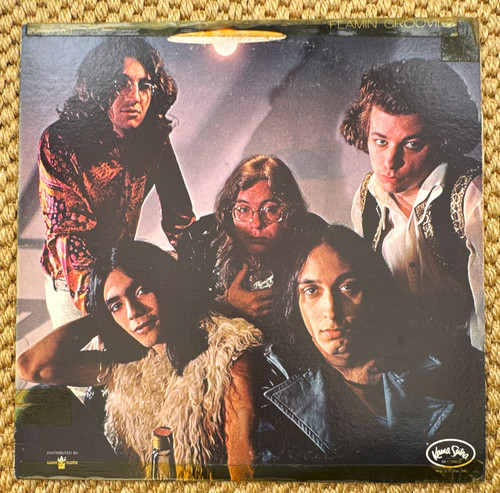 Flamin groovies flamingo - groovies,