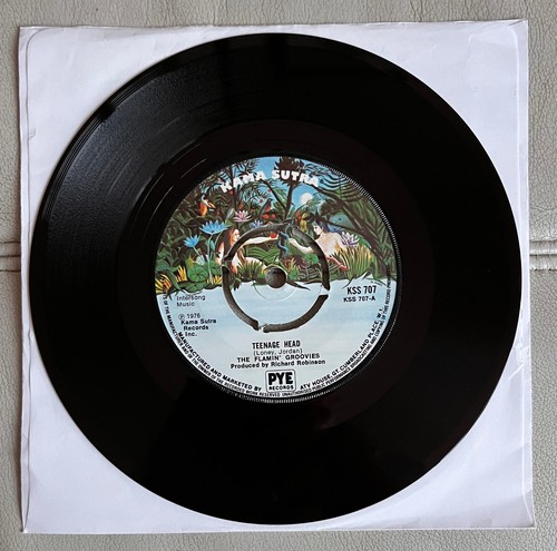 Flamin groovies teenage - groovies,
